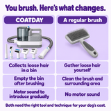 COATDAY collects brushed-out hair in a bin; a regular brush requires gathering hair manually. The vacuum has motor noise; a regular brush does not.